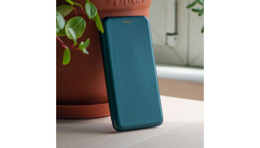 Чехол-книжка для iPhone 12 mini Зеленый