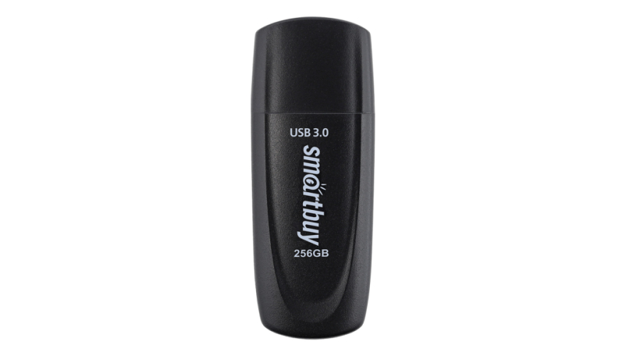 USB флеш-накопитель Smartbuy Scout USB 3.0 256GB Black (Черный) (SB256GB3SCK)